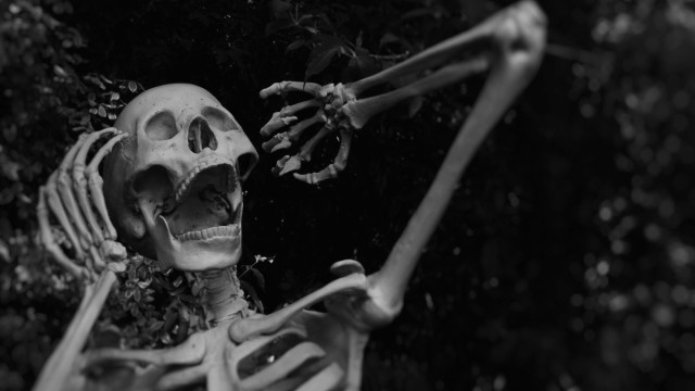 Hoe FUD Fantom, Yearn en Solidly beïnvloedde na het vertrek van Cronje en Nell