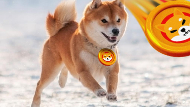 Is Shiba Inu klaar voor een stierenrennen?
