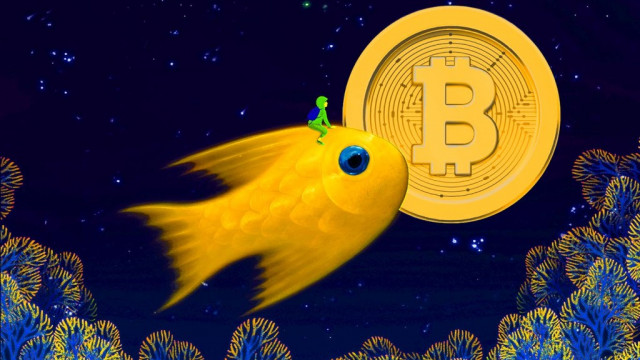 Kopen Bitcoin Whales de dip? On-Chain-analist Will Clemente zegt dat er een nieuwe trend opkomt voor grote BTC-beleggers
