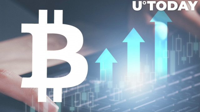 Kortlopende Bitcoin-handelaren vergroten hun bezit met bijna 5% naarmate de retailrente terugkeert: details