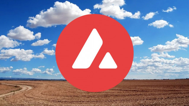 Lawine-update | DeFi breidt uit naar Avalanche | Maart Week 3