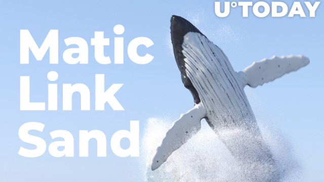 Matic, Link, Sand: Crypto-walvissen zijn bezig met het kopen van Spree, WhaleStats-rapport