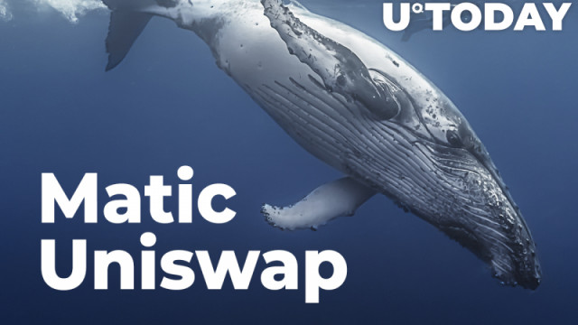 Matic, Uniswap een van de meest gekochte tokens door walvissen als marktdips