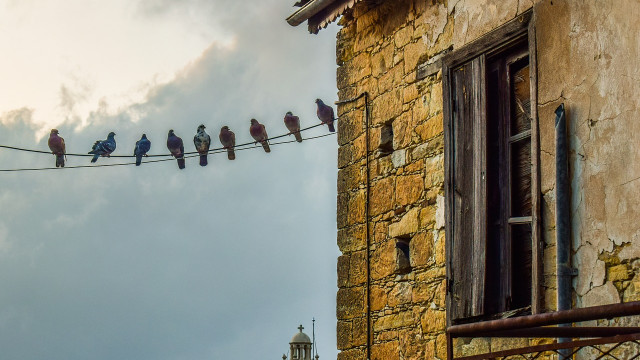 Met verkoopdruk op BTC, zal MATIC in februari voorbij $ 2 komen