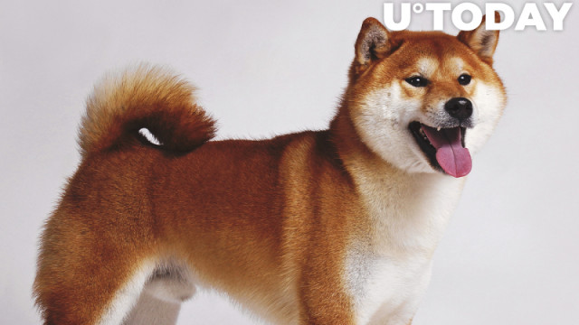 Nog eens 50 miljard SHIB gegrepen door Top ETH Whale, Shiba Inu staat op de derde plaats van grootste bezit: details