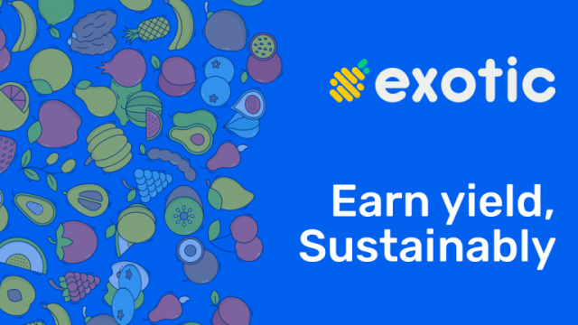 Oprichter van Exotic Markets Joffrey Dalet spreekt over Defi Banking, Structured Products en Solana