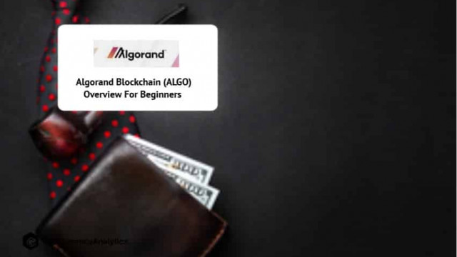 Overzicht Algorand Blockchain (ALGO) voor beginners