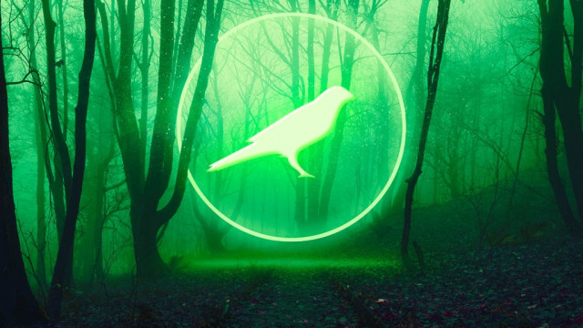 Polkadot (DOT) testnetwerk Kusama (KSM) hapert ondanks verrassende aankondiging van Coinbase-vermelding