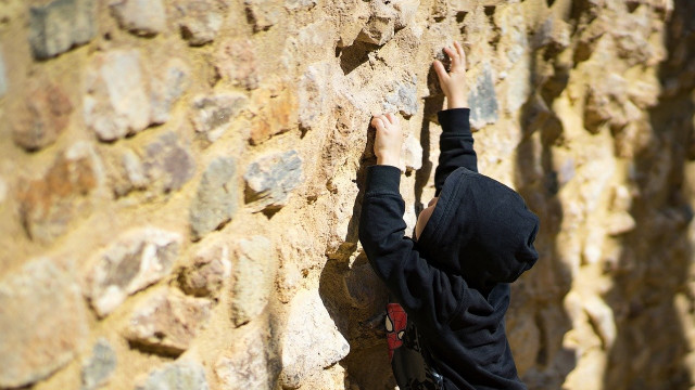 Polkadot, Fantom, SAND Prijsanalyse: 20 januari