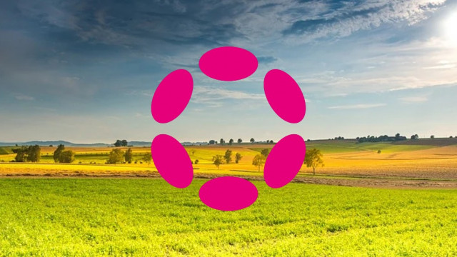 Polkadot-prijsanalyse: DOT daalt naar $ 16,8 naarmate de bearish trend verergert