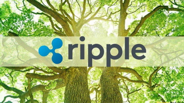 Ripple zet $ 100 miljoen in om te investeren in koolstofmarkten in zijn nieuwste push voor duurzaamheid