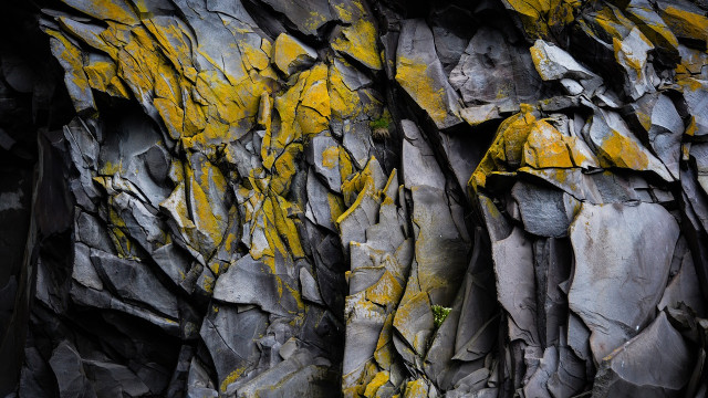 Risicomijdende beleggers moeten dit doen voordat ze posities in MATIC . nemen