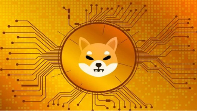 Ryoshi verlaat het Shiba Inu-project