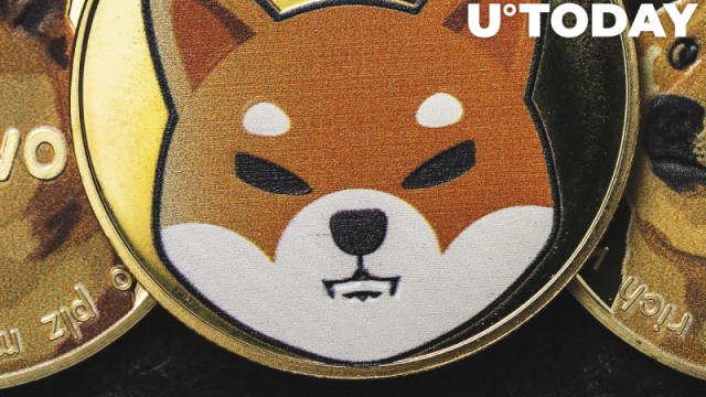 "SHIB heeft een geweldig model", gelooft David Gokhshtein dat de komende 12 maanden de sleutel kunnen zijn voor Shiba Inu