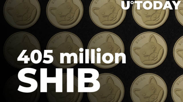 SHIB-leger verwijdert 405 miljoen Shiba Inu in de afgelopen 24 uur: rapport