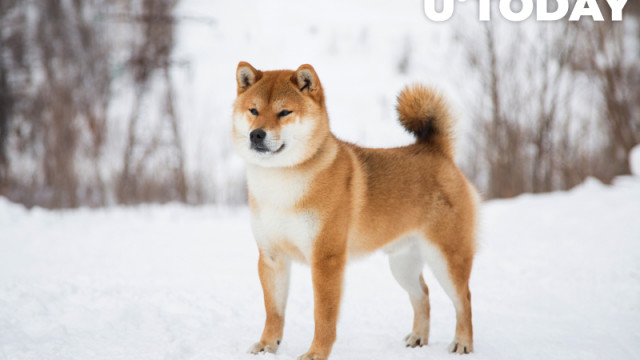 Shiba Inu en andere munten worden nu ondersteund door Binance Custody