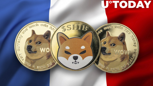 Shiba Inu en Dogecoin behoren tot de meest gewenste cryptocurrencies in Frankrijk: rapport