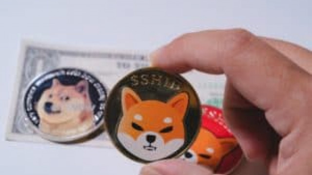 Shiba Inu marcheert waarschijnlijk op het ritme van zijn eigen trommel