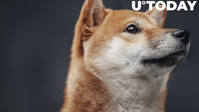 Shiba Inu presteert beter dan meerderheid van cryptovalutamarkt