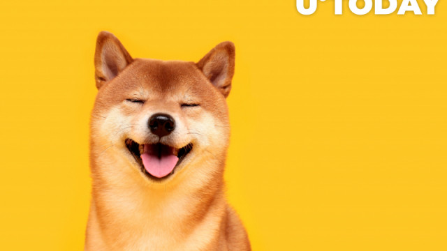 Shiba Inu-prijs stijgt met 7%, beter dan andere topmunten