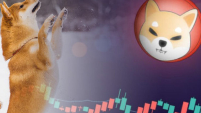 Shiba Inu-prijsanalyse: SHIB lijdt aan devaluatie van $ 0,00002771