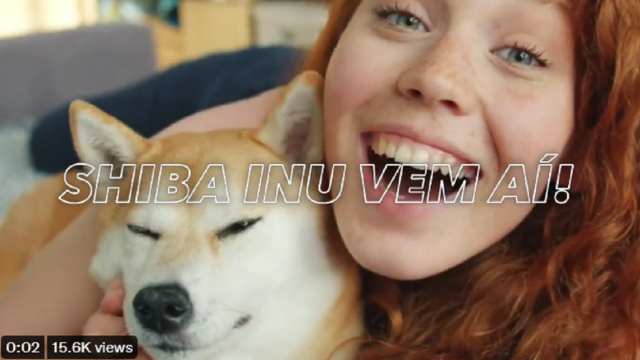 Shiba Inu (SHIB) naar lijst op Foxbit; SHIB-prijs met 70% gestegen in de afgelopen week