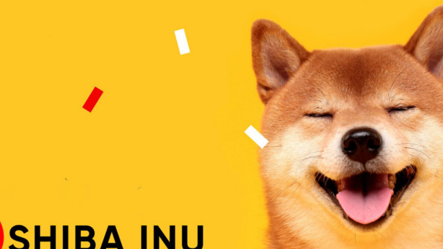 Shiba Inu (SHIB) prijs Bullish Trek om de mijlpaal van $ 0,0003 terug te winnen! Hier is wanneer en hoe?