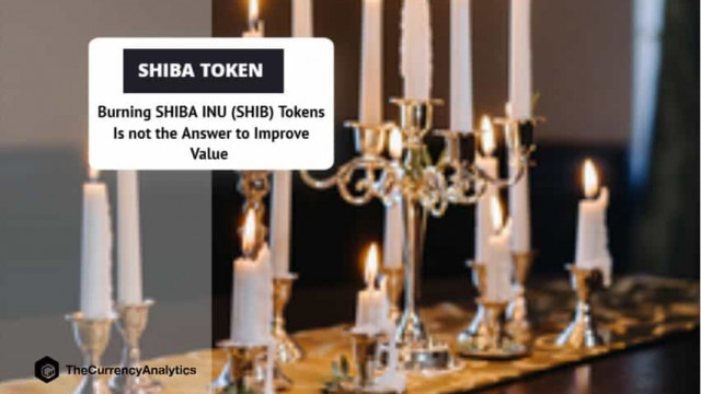 SHIBA INU (SHIB)-tokens verbranden is niet het antwoord om de waarde te verbeteren