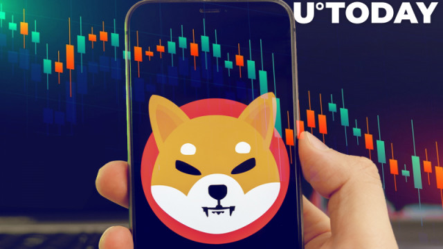 Shiba Inu stelt belangrijke trend voor als prijsdalingen per deze statistiek: Details