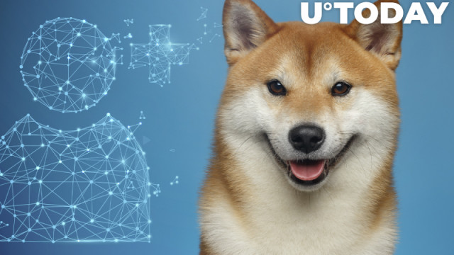 Shiba Inu voegt bijna 200.000 gebruikers toe sinds begin 2022: details