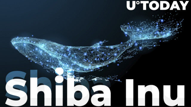 Shiba Inu Whale met 2 biljoen tokens diversifieert portfolio naar andere Altcoins: hier zijn ze