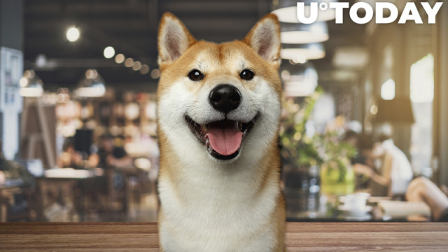 Shiba Inu wint opeenvolgende vermeldingen in Brazilië; Een van de beste crypto-uitwisselingen van de natie om het meme-token volgende week weer te geven