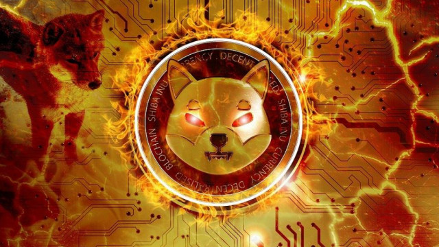 Shiba Inu ziet er misschien interessanter uit, maar er zijn risico's in overvloed