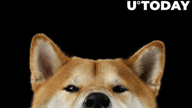 Shiba Inu's Shiberse krijgt vorm als SHIB-ontwikkelaar hints op voortgang van voorstel