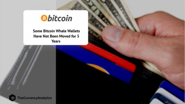 Sommige Bitcoin (BTC) Whale Wallets zijn al 5 jaar niet verplaatst