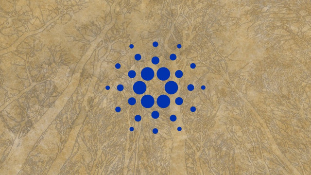 Starboundpad en zijn privéverkooplancering - Alles wat u moet weten over de op Cardano gebaseerde projectversneller