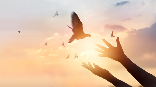 TA: Bitcoin herwint momentum, wat extra voordelen kan opleveren