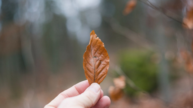 Terwijl Cardano-adressen een nieuw record vestigen, moeten ADA-houders dankbaar zijn voor ...