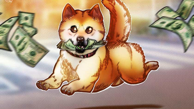 Tophonden: Newbie Shiba Inu bijt terug, wint 25% ten opzichte van Dogecoin in februari