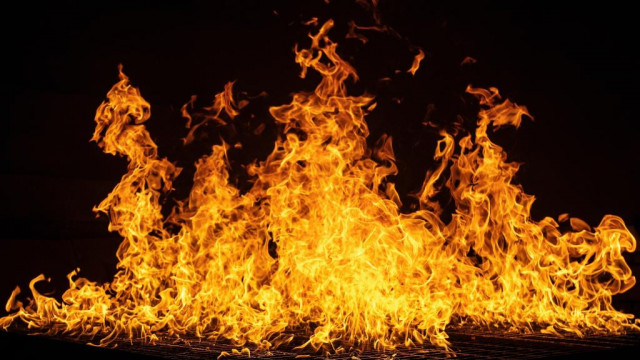 Verbrandingspercentage Shiba Inu is gestegen met 6.700%: de voorraad gaat in vlammen op