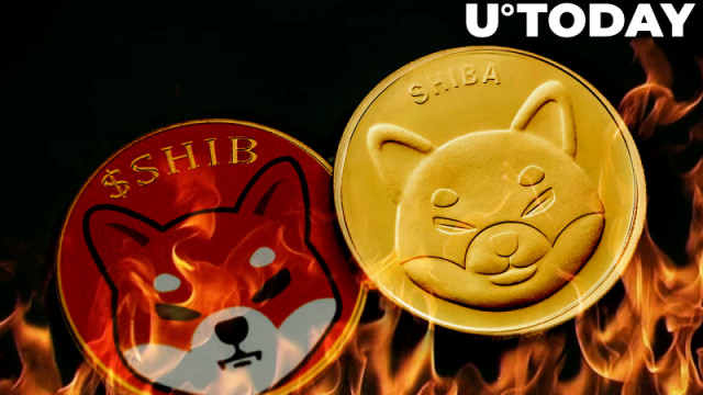 Verbrandingspercentage Shiba Inu stijgt met 190% in 24 uur: rapport