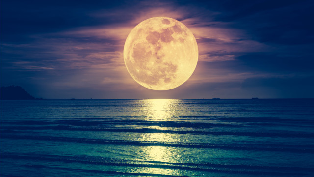 Vraag naar UST blijft stijgen, Luna Foundation Guard verbrandt 4,2 miljoen LUNA uit schatkist