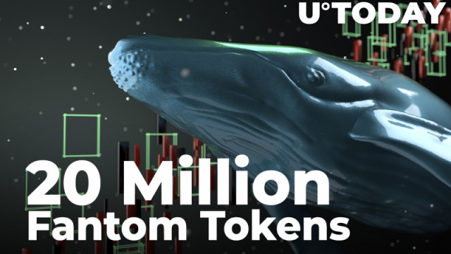 Walvissen grijpen 20 miljoen verpakte Fantom-tokens en 1,1 miljoen FTM te midden van dip-aankopen: details