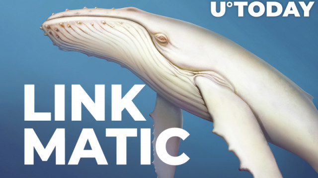 Walvissen pakken $ 1,2 in LINK, $ 1,05 miljoen in MATIC op de dip, waardoor hun bezit toeneemt