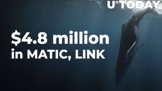 Walvissen pakken $ 4,8 miljoen in MATIC, LINK aangezien deze zijn opgenomen in de top 10 gekochte munten