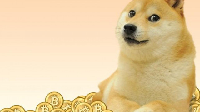 Walvissen verzamelen Dogecoin terwijl de prijs terugkeert naar een belangrijk niveau