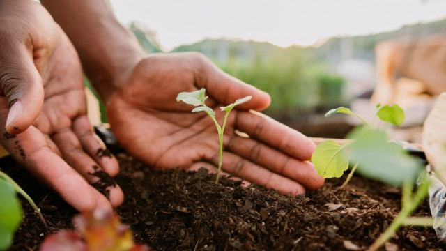 Wat is Cardano (ADA)?