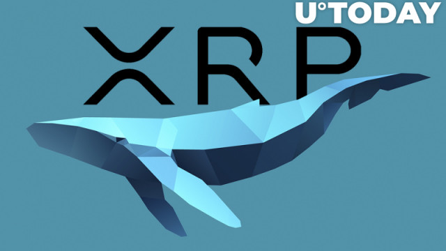 XRP Whales verplaatsen 60 miljoen munten tussen portemonnees: Whale Alert
